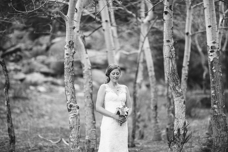 Best of 2013 Denver Weddings-017