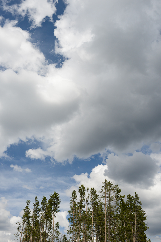 Best of 2013 Denver Weddings-025