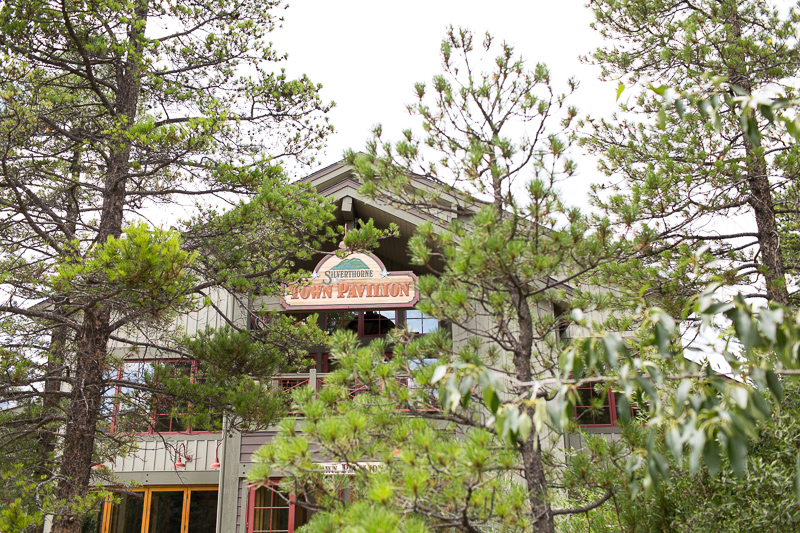Silverthorne Wedding Photographer pavilion