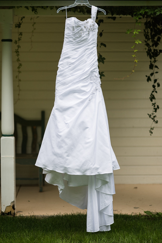 Palisade Wedding Photography dress