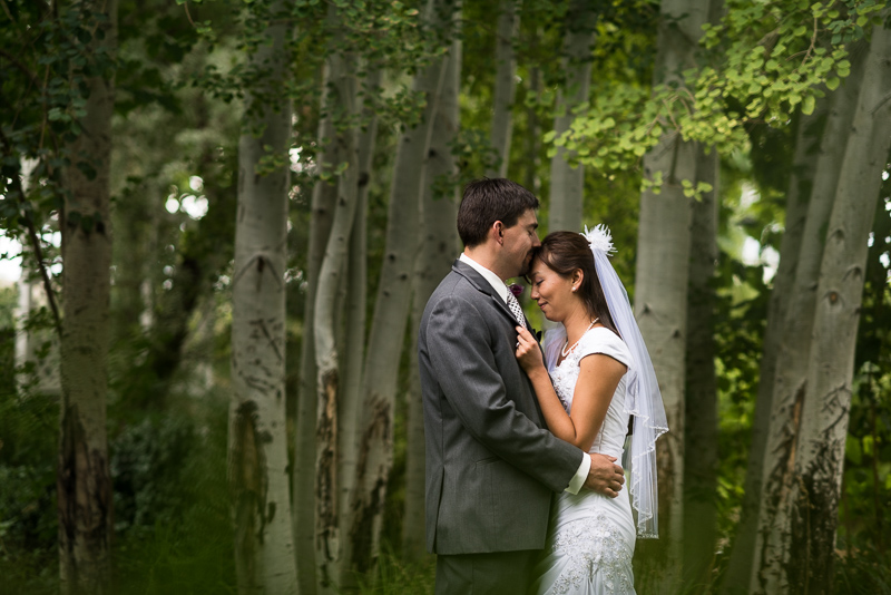 Palisade Wedding Photography couple in aspen trees