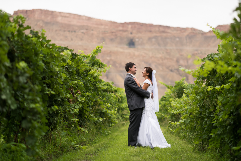 Palisade Wedding Photography vineyard