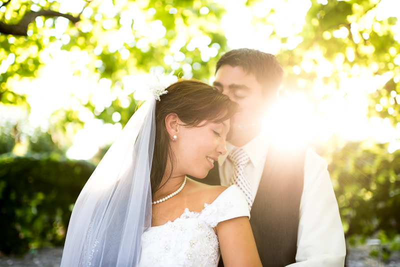 Palisade Wedding Photography sun drenched couple