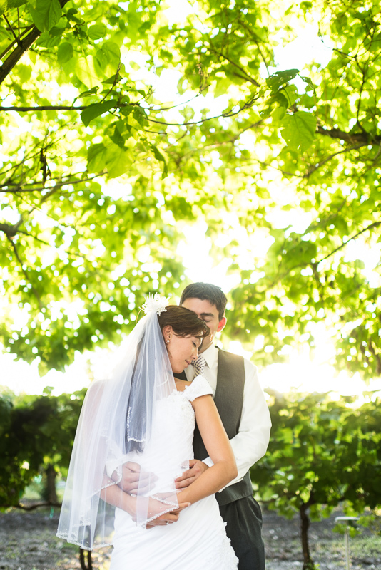 Palisade Wedding Photography beautiful backlight