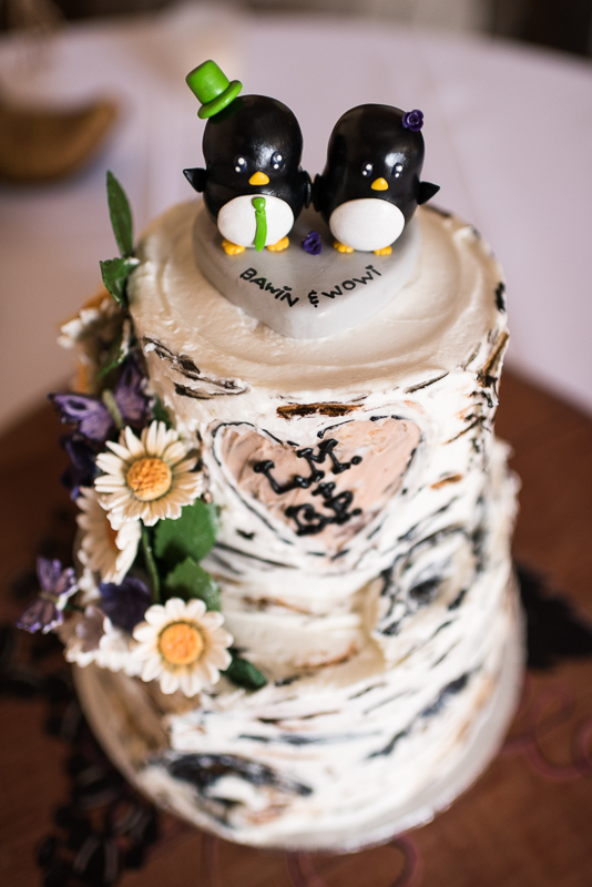 Palisade Wedding Photography aspen cake