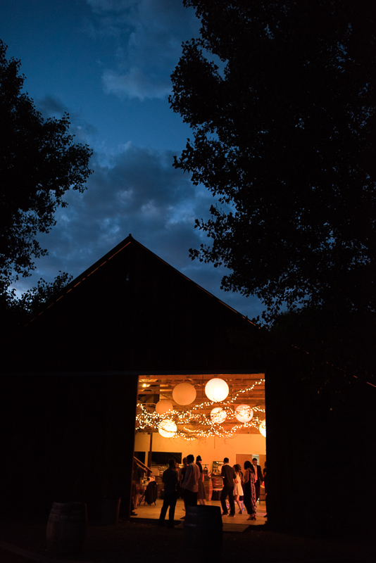 Palisade Wedding Photography night