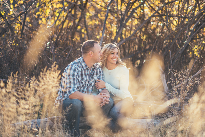 Denver Engagement Photographer couple sitting on log
