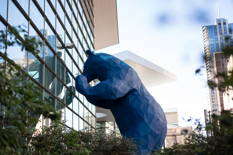 Denver Wedding Photography History Colorado big blue bear