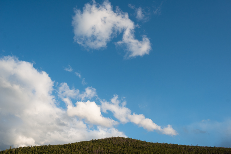 Denver Wedding Photography 