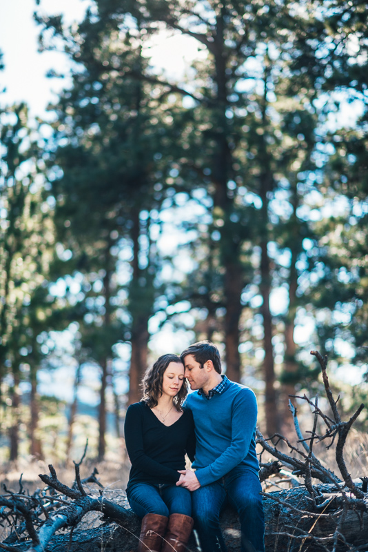 Evergreen Engagement Photography forest