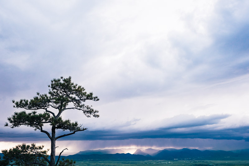 Denver Wedding Photography Cherokee Ranch and Castle scenery
