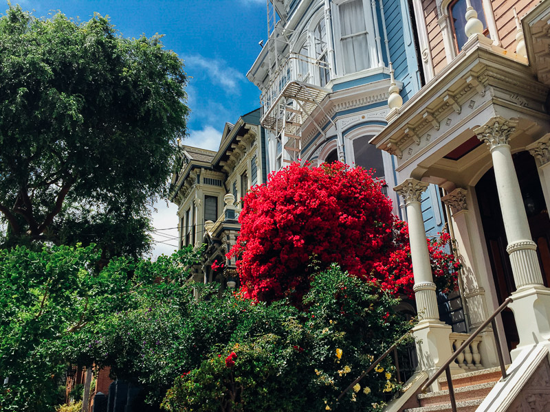 San Francisco victorian iphone vsco