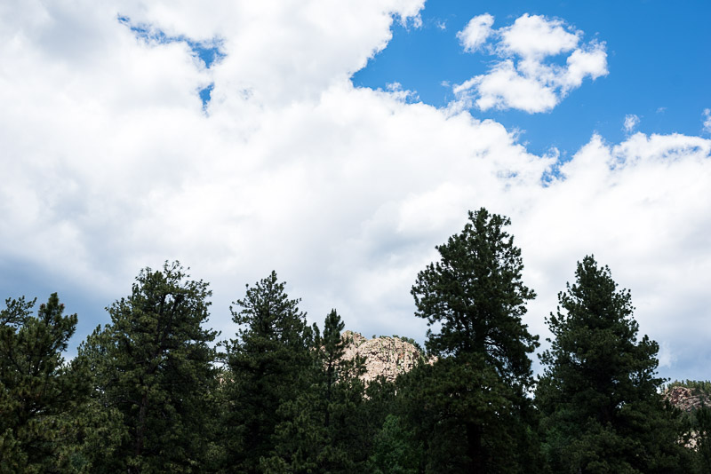 Emily and Ryan Lower Lake Ranch Wedding Photography mountains