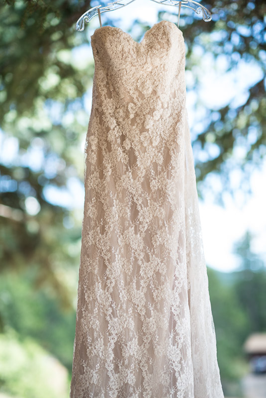 Emily and Ryan Lower Lake Ranch Wedding Photography dress