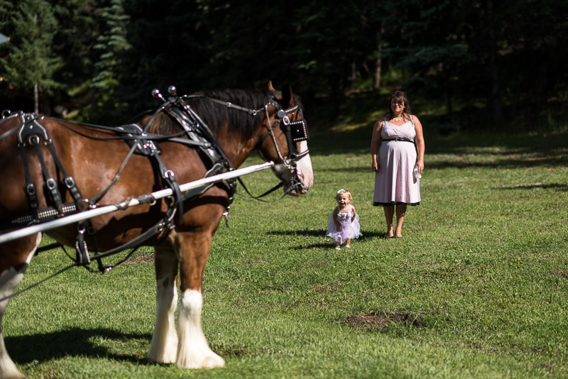 Emily and Ryan Lower Lake Ranch Wedding Photography child and horse