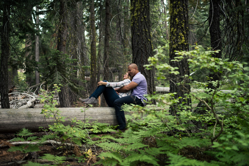 Tahoe Engagement Photography sitting in trees