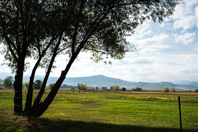 Boulder Wedding Photography-019