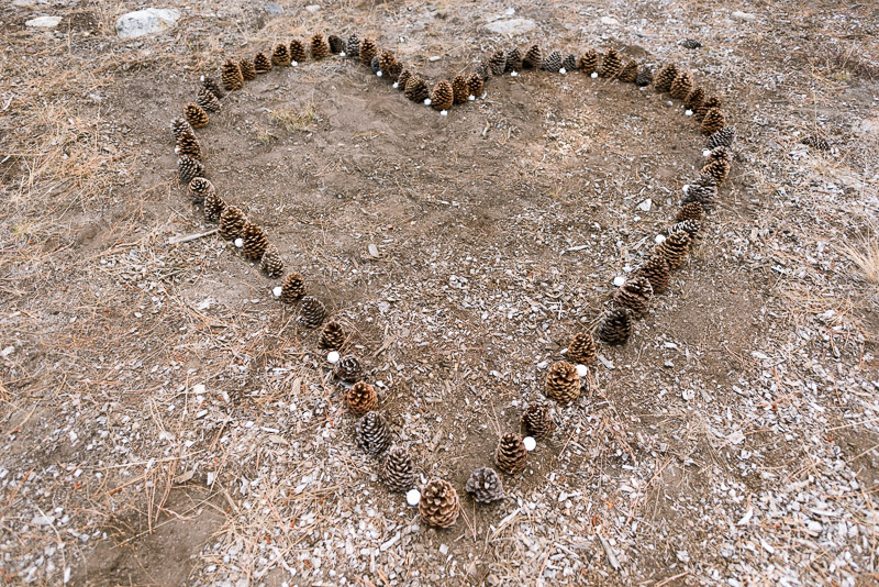 Lake Tahoe Wedding Photographer pinecone heart