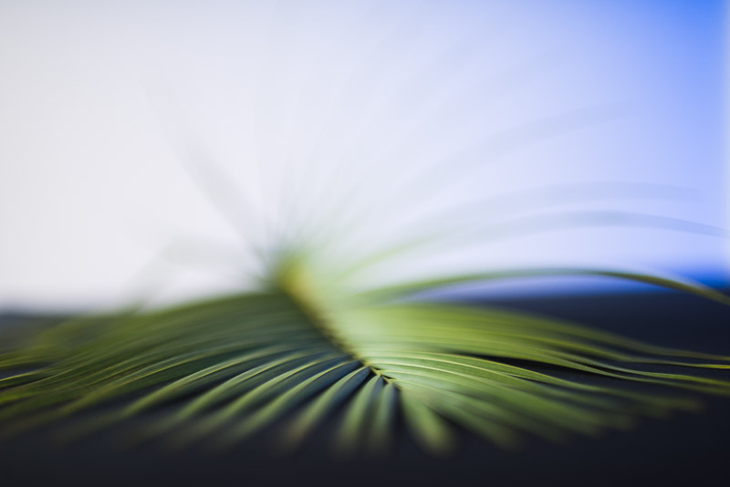 Denver Wedding Photography-010