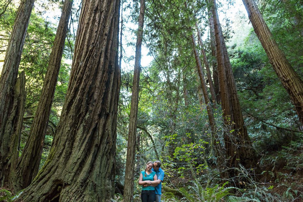 San Francisco redwood engagement photography