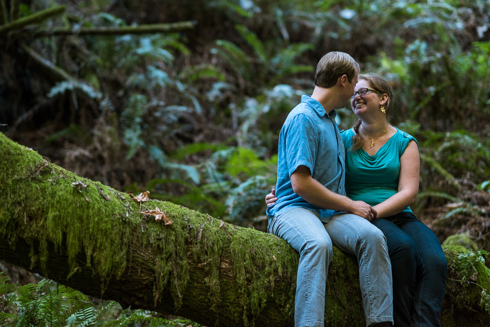 San Francisco redwood engagement photography