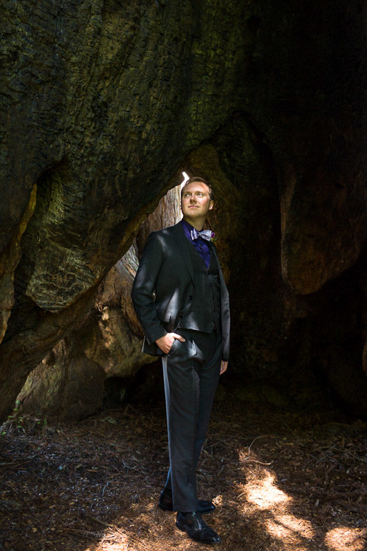 San Francisco Wedding Photography Villa Chanticleer groom in Eisenhower tree