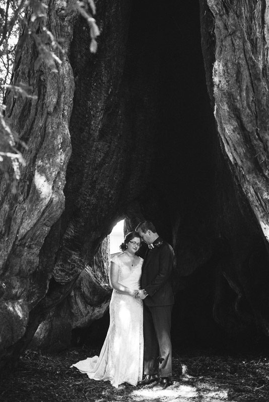 San Francisco Wedding Photography Villa Chanticleer bride and groom eisenhower tree