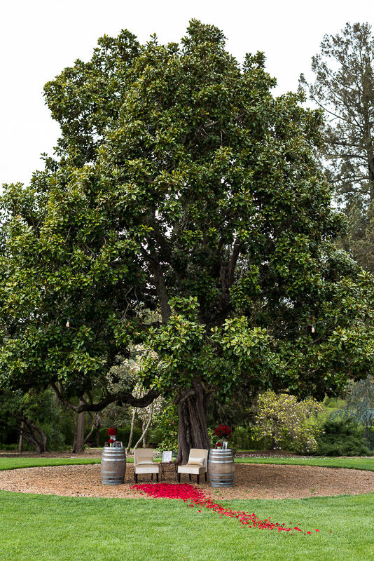 Sonoma Chateau St Jean Vineyard proposal location