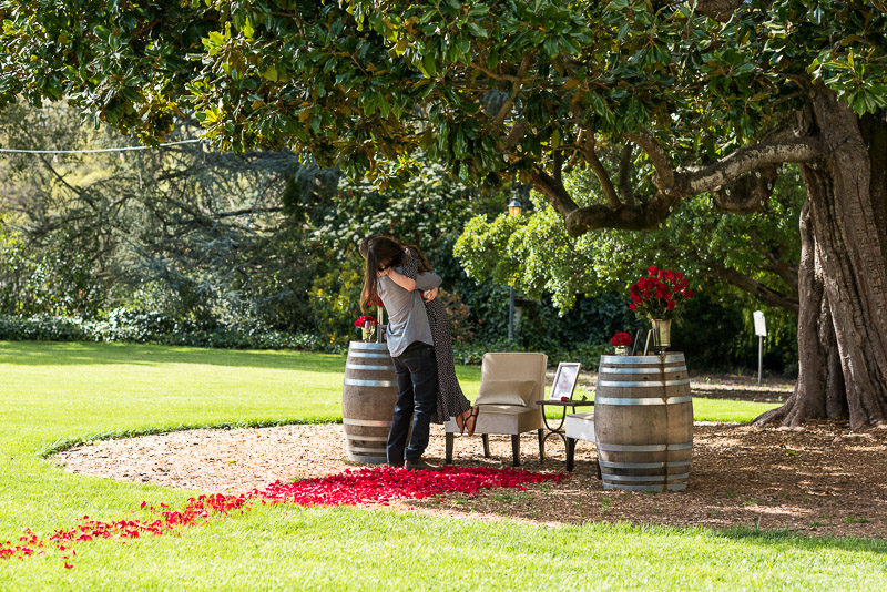 Sonoma Chateau St Jean Vineyard couple proposal