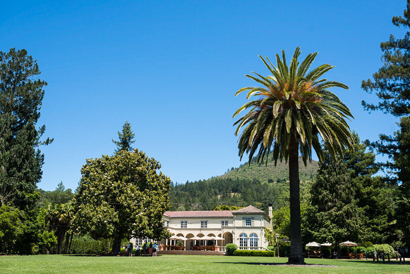 Sonoma Vineyard Proposal Photography Chateau St Jean estate