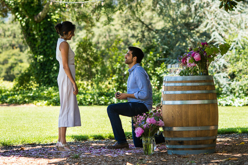 Sonoma Vineyard Proposal Photography Chateau St Jean on one knee