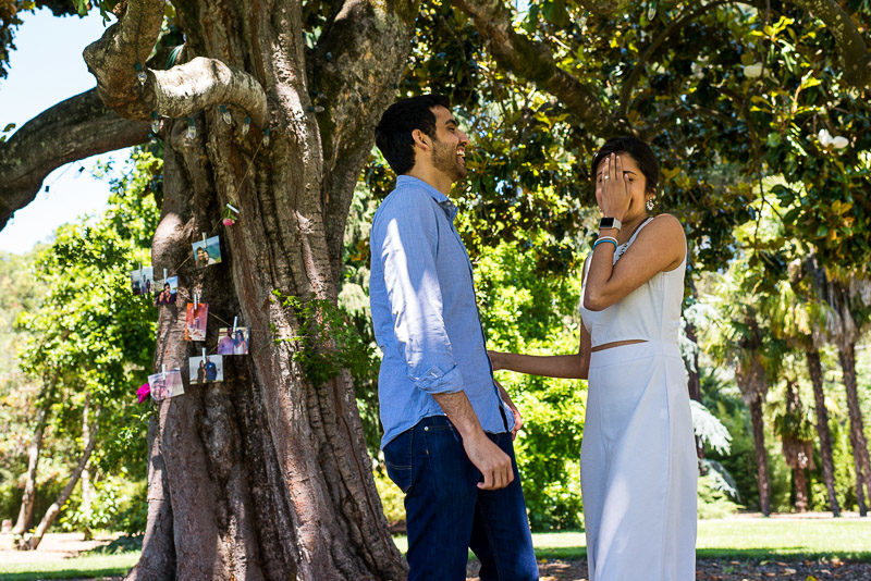 Sonoma Vineyard Proposal Photography Chateau St Jean laughing couple