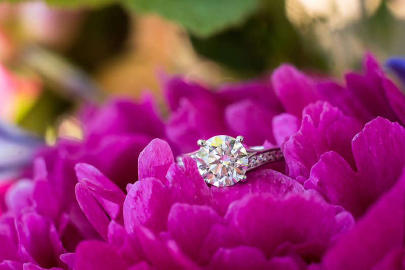 Sonoma Vineyard Proposal Photography Chateau St Jean engagement ring with flower