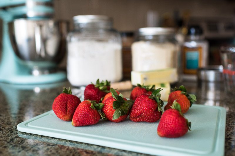 denver small business photography strawberries