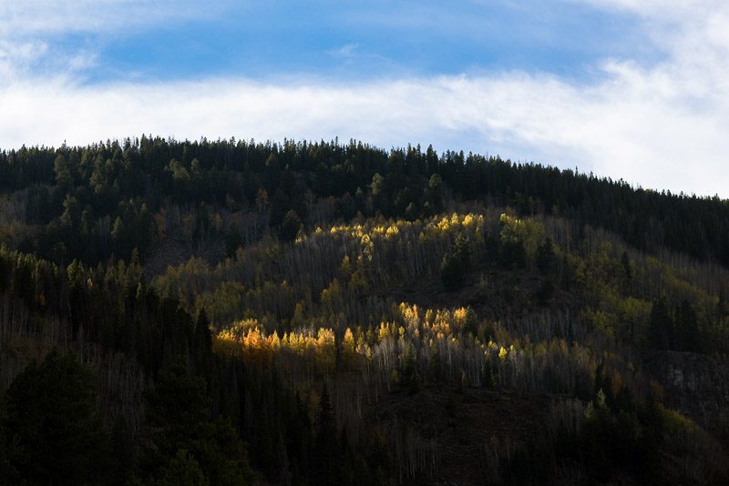 Vail Wedding Photography Camp Hale fall colors